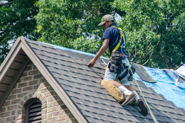 Best Metal Roofing Contractor  in Pryor Creek, OK